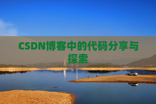 CSDN博客中的代码分享与探索